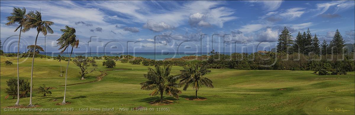 Peter Bellingham Photography Lord Howe Island - NSW H (PBH4 00 11805)